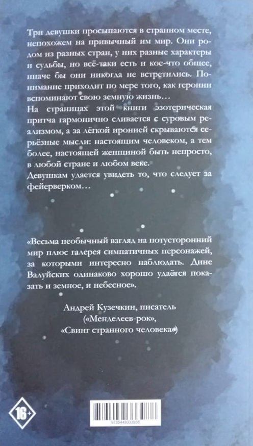 Современная проза Валуйских Д. А потом фейерверк купить,NaN