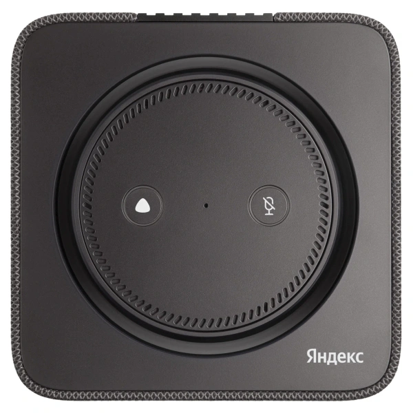 Умная Колонка Яндекс Станция Макс с Zigbee YNDX-00053 Graphite + пульт YNDX-00402 Yandex купить,0