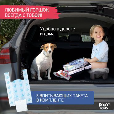 Горшок Roxy HandyPotty HP-250GT мультиколор купить,NaN