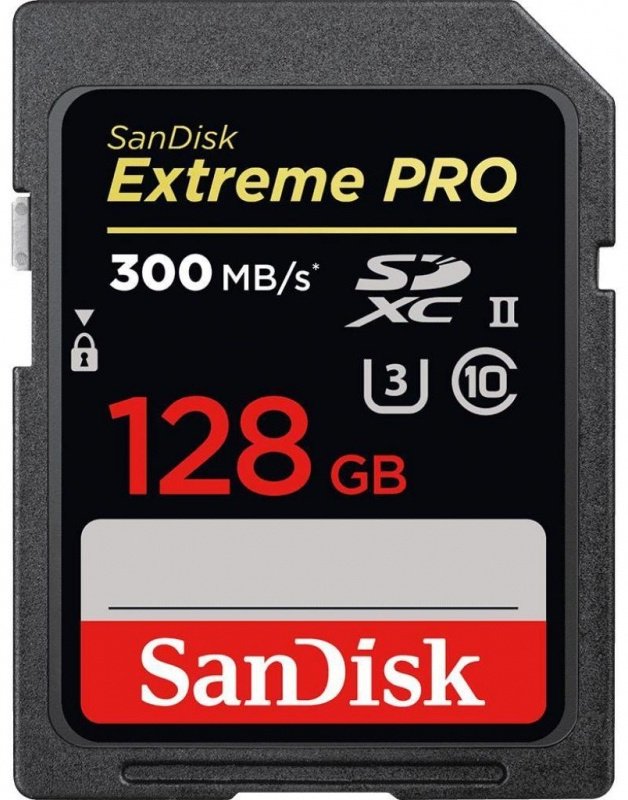 Карта памяти SanDisk Secure Digital XC SDSDXPK-128G-GN4IN 128 Гб купить,NaN