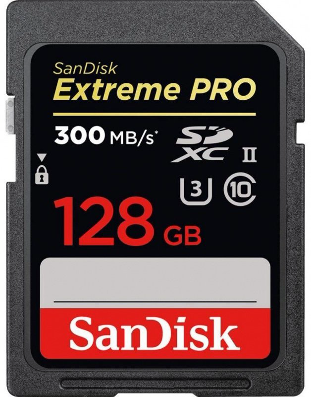 Карта памяти SanDisk Secure Digital XC SDSDXPK-128G-GN4IN 128 Гб купить,NaN