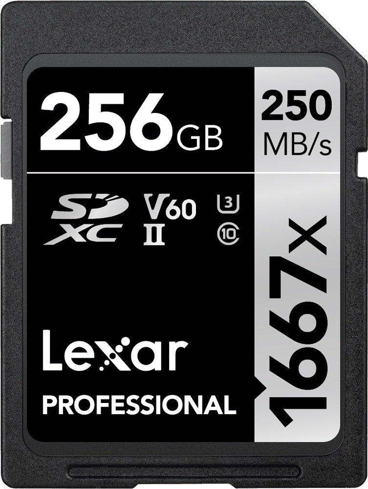 Карта памяти Lexar Secure Digital XC SILVER LSD256CB1667 256 Гб купить,NaN