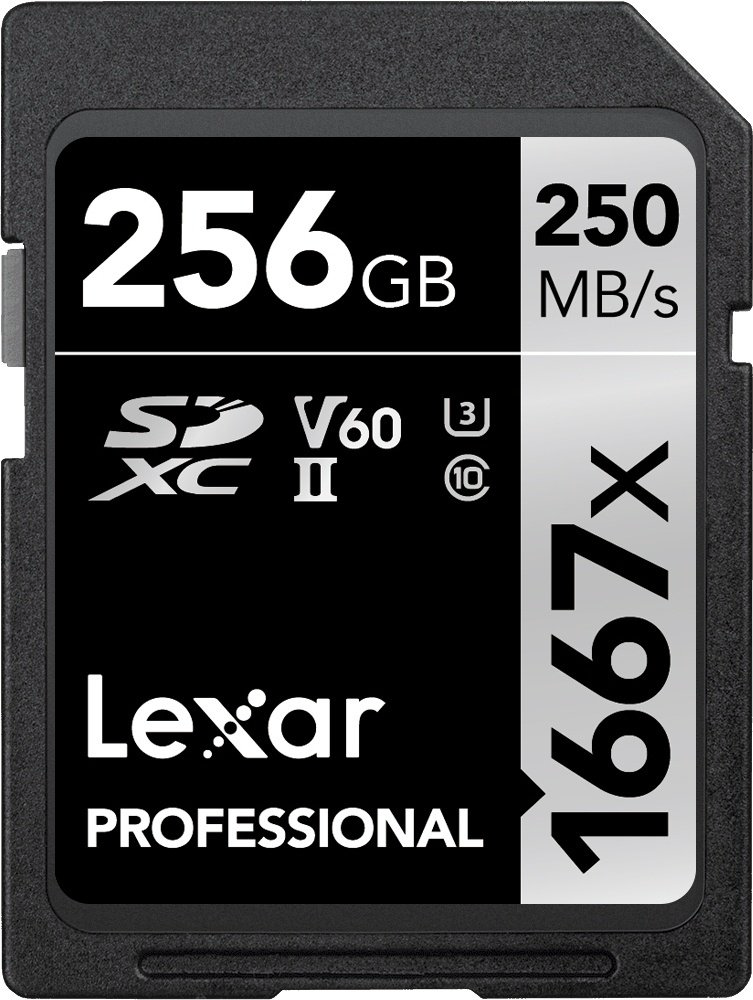 Карта памяти Lexar Secure Digital XC SILVER LSD256CB1667 256 Гб купить,NaN