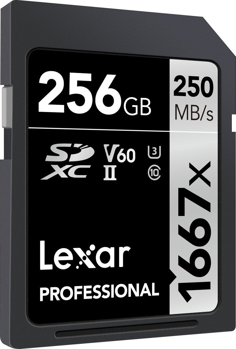 Карта памяти Lexar Secure Digital XC SILVER LSD256CB1667 256 Гб купить,NaN