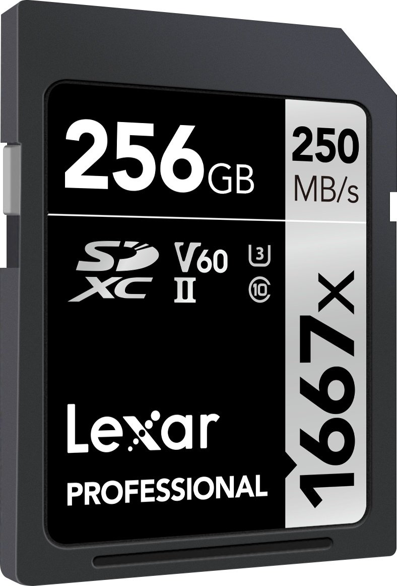 Карта памяти Lexar Secure Digital XC SILVER LSD256CB1667 256 Гб купить,NaN