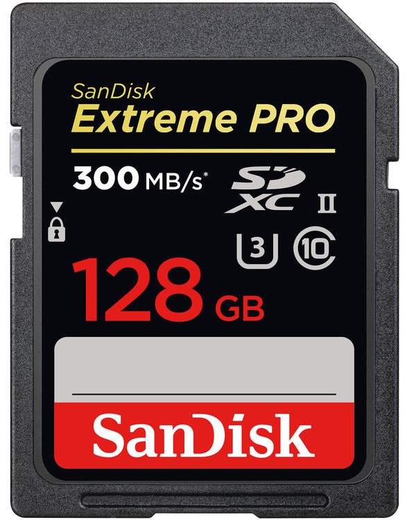 Карта памяти SanDisk Secure Digital XC SDSDXDK-128G-GN4IN 128 Гб купить,NaN