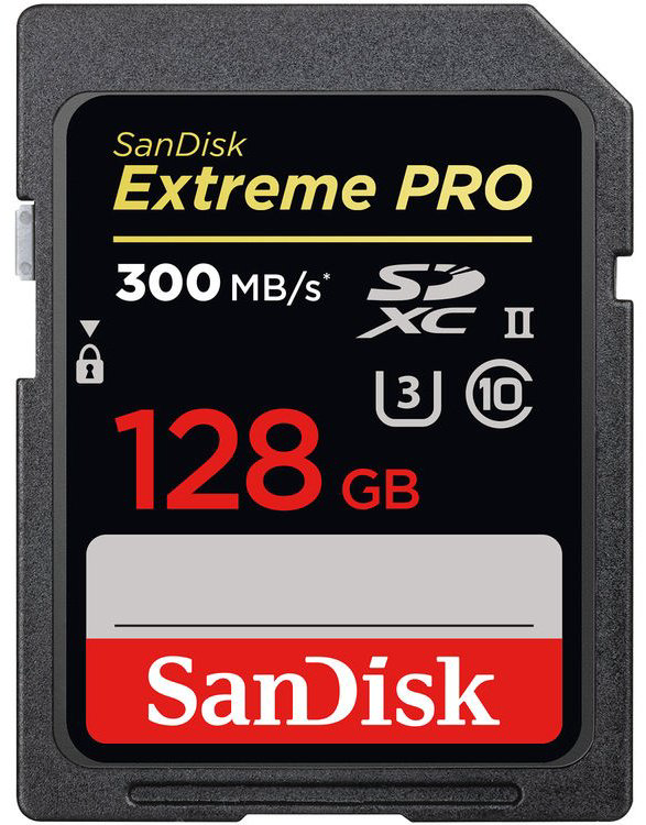 Карта памяти SanDisk Secure Digital XC SDSDXDK-128G-GN4IN 128 Гб купить,NaN