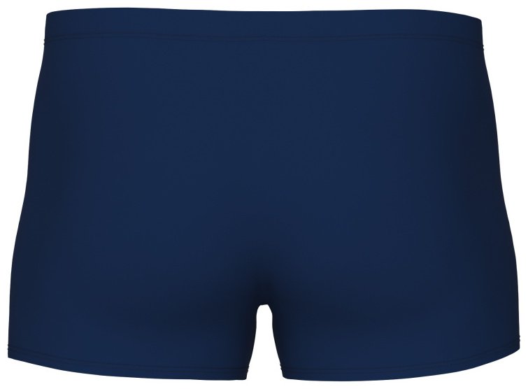 Плавки ARENA синий купить,NaN
