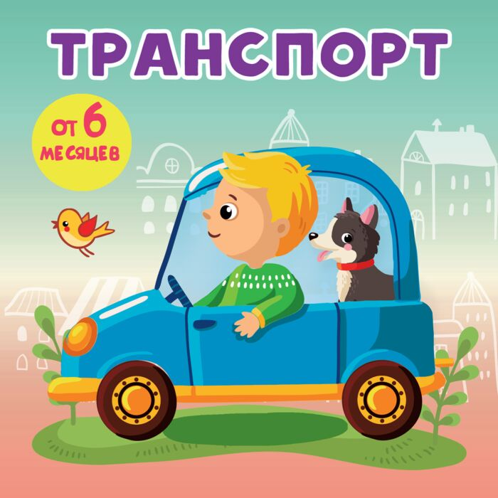 Игнатова А. С. Транспорт купить,NaN