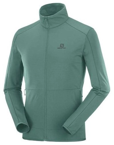 Флиска Salomon зеленый купить,NaN