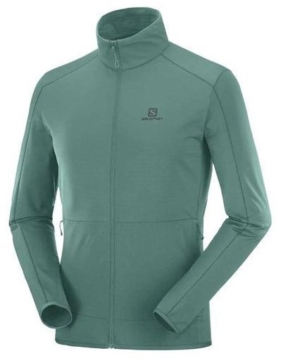 Флиска Salomon зеленый купить,NaN