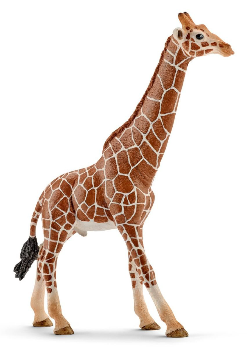 Фигурка Schleich Жираф самец 14749 купить,NaN
