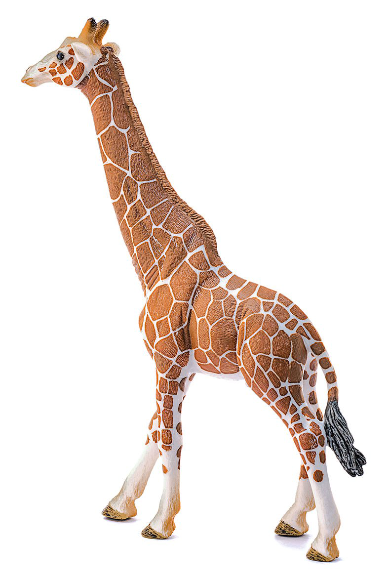 Фигурка Schleich Жираф самец 14749 купить,NaN