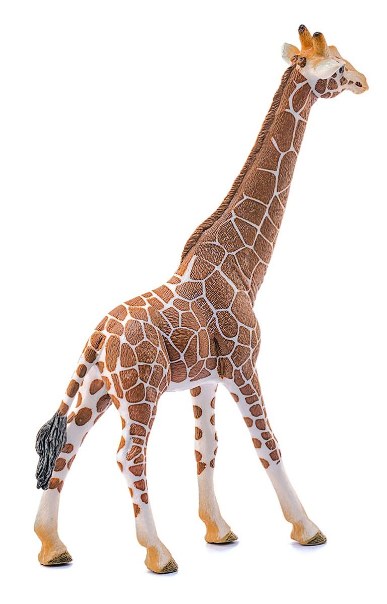 Фигурка Schleich Жираф самец 14749 купить,NaN