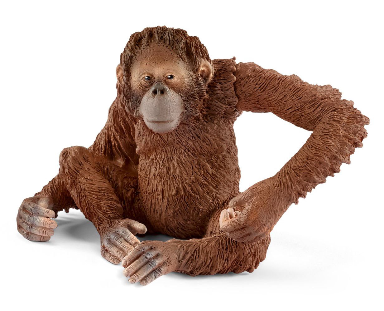 Фигурка Schleich Орангутан самка 14775 купить,NaN
