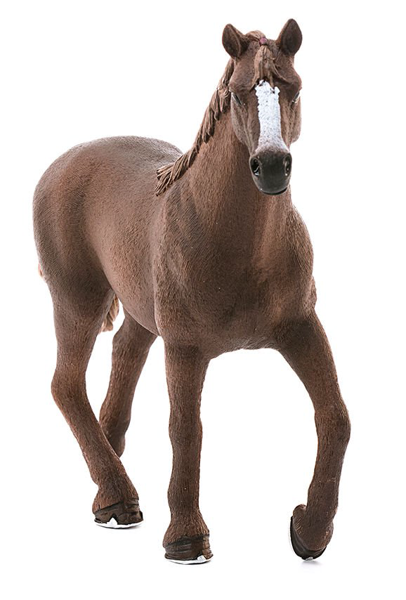 Фигурка Schleich Английская чистокровная кобыла 13855 купить,NaN