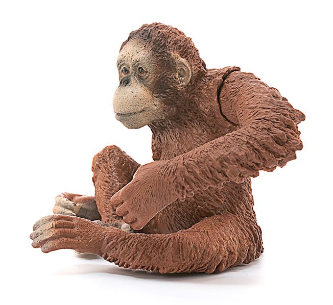 Фигурка Schleich Орангутан самка 14775 купить,NaN