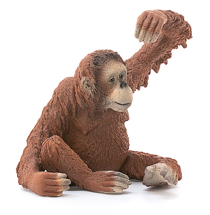 Фигурка Schleich Орангутан самка 14775 купить,NaN