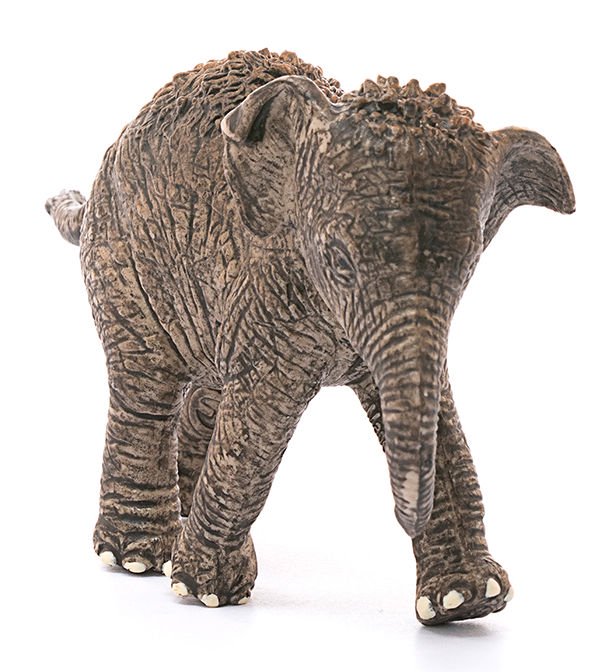 Фигурка Schleich Азиатский слон детеныш 14755 купить,NaN