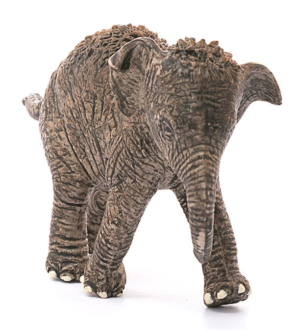 Фигурка Schleich Азиатский слон детеныш 14755 купить,NaN