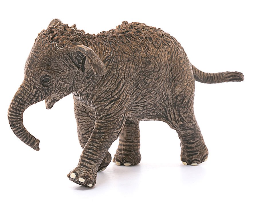 Фигурка Schleich Азиатский слон детеныш 14755 купить,NaN
