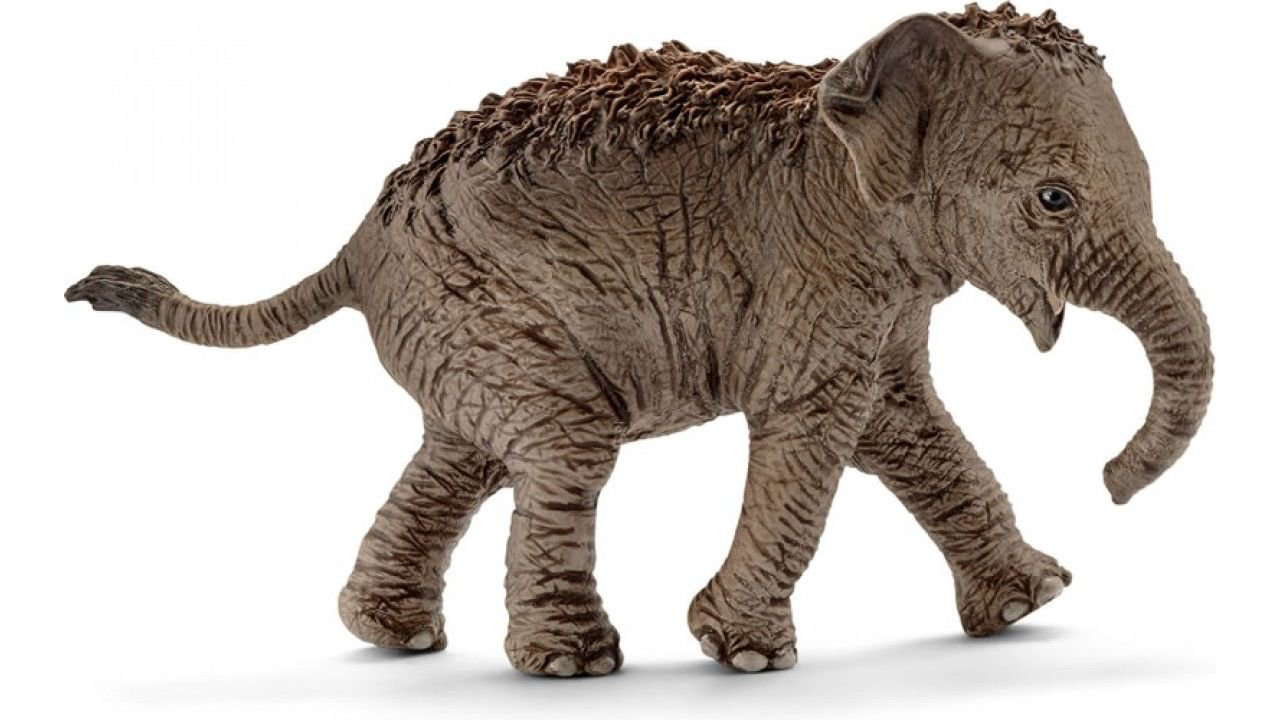 Фигурка Schleich Азиатский слон детеныш 14755 купить,NaN