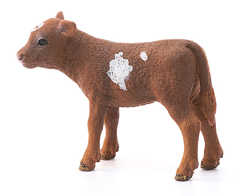 Фигурка Schleich Техасский Лонгхорн теленок 13881 купить,NaN