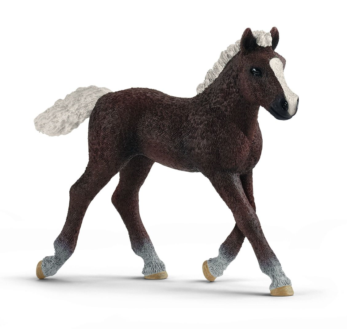 Фигурка Schleich Шварцвальдский жеребенок 91691 купить,NaN