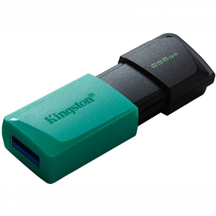 USB-флешка Kingston DTXM/256GB 256Gb Black Green