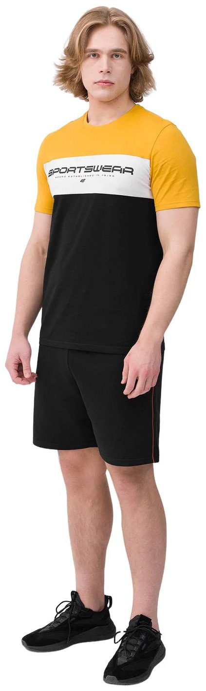 Спортивные шорты 4F черный купить,NaN