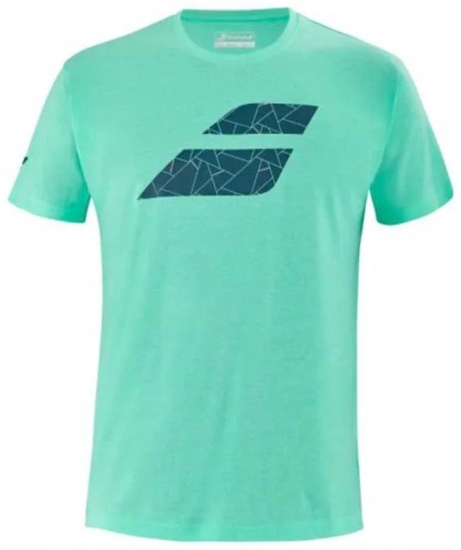 Футболка Babolat бирюзовый купить,NaN