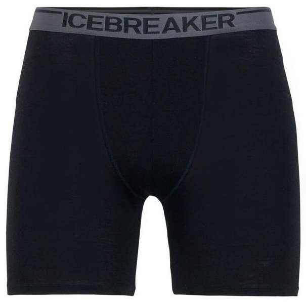 Спортивные шорты IceBreaker черный купить,NaN