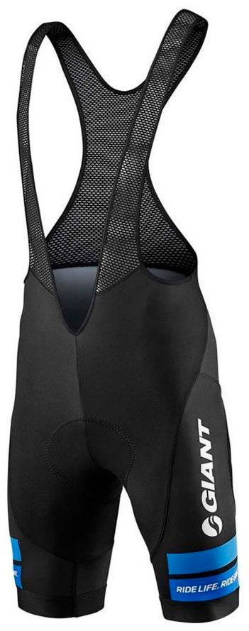 Спортивные шорты Giant черный купить,NaN