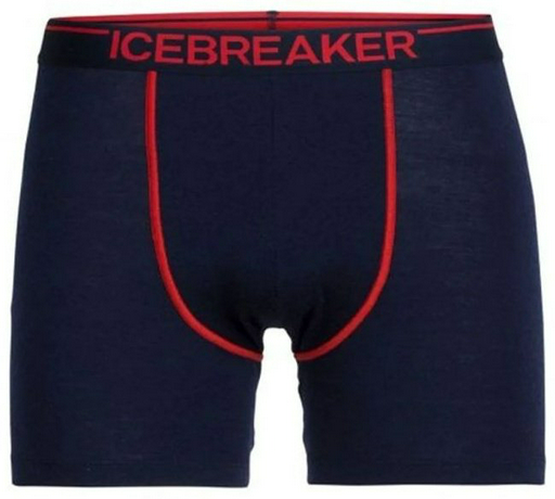 Спортивные шорты IceBreaker синий