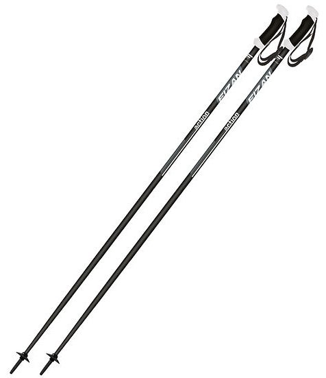 Палки для лыж FIZAN Action PRO, 100.2 120 серый