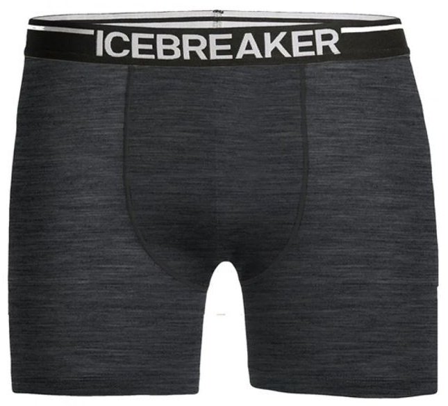 Спортивные шорты IceBreaker серый купить,NaN