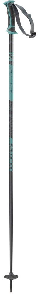 Палки для лыж Salomon L41174200 110 серый купить,NaN
