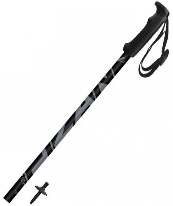 Палки для лыж Fizan Action SR W20 5311 115 черный купить,NaN