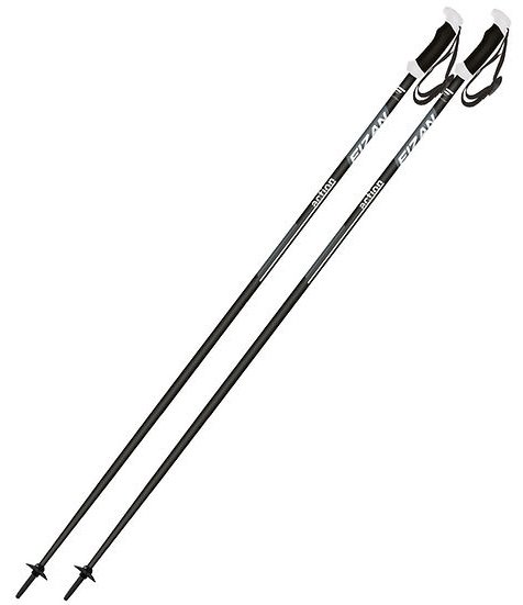 Палки для лыж FIZAN Action PRO, 100.2 110 серый