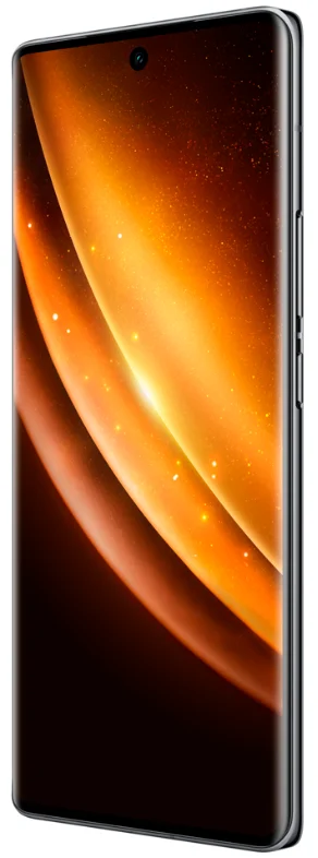 Смартфон Vivo X100 16/512GB Asteroid Black купить,0
