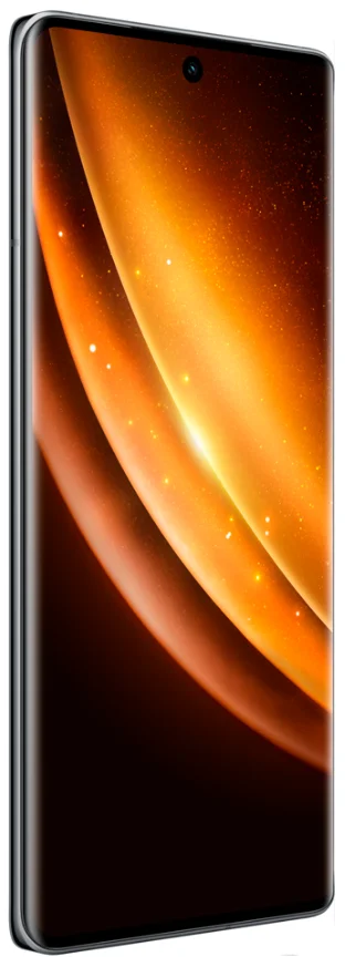 Смартфон Vivo X100 16/512GB Asteroid Black купить,0