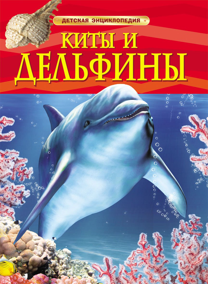 Энциклопедия Киты и дельфины. Детская энциклопедия купить,NaN