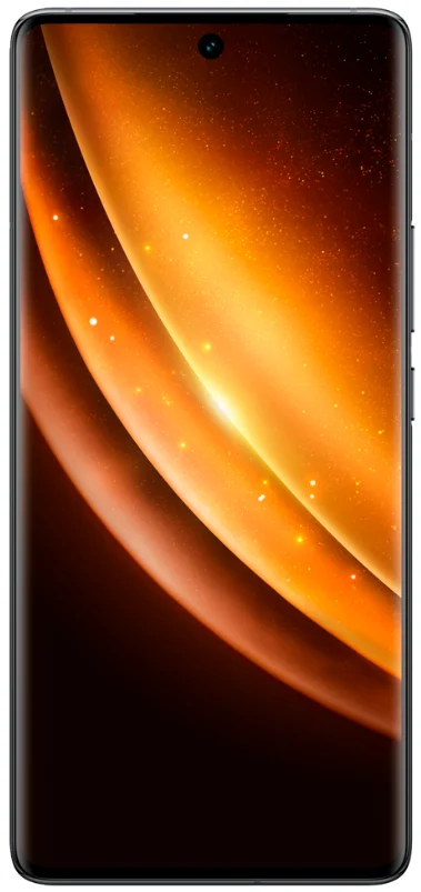 Смартфон Vivo X100 16/512GB Asteroid Black купить,0