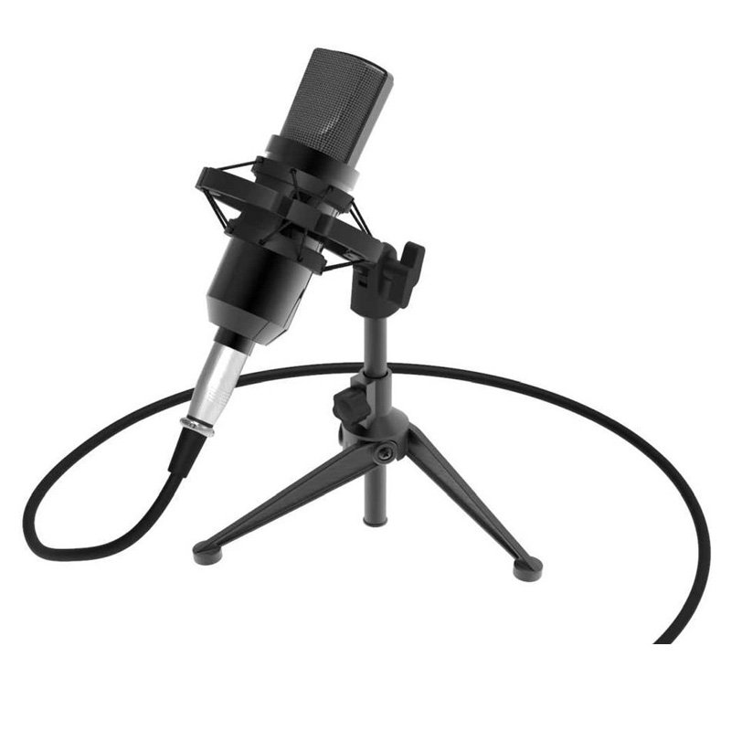 Микрофон Ritmix RDM-160 черный