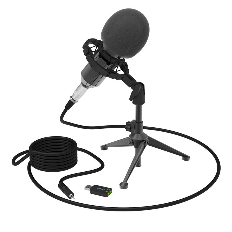 Микрофон Ritmix RDM-160 черный купить,NaN