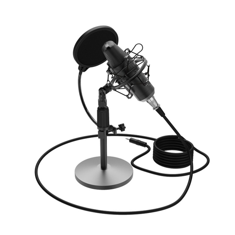 Микрофон Ritmix RDM-175 черный купить,NaN