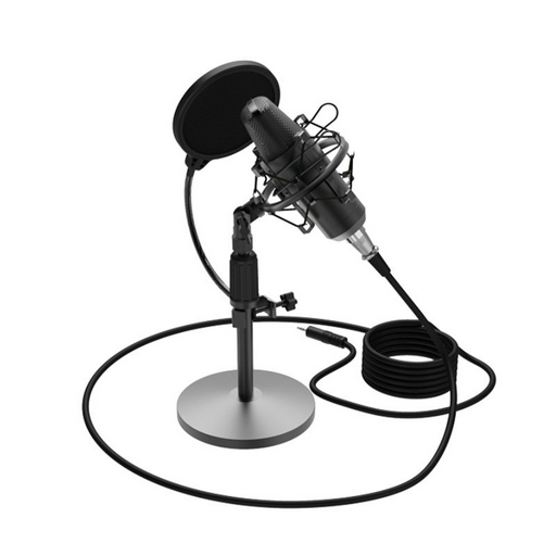 Микрофон Ritmix RDM-175 черный