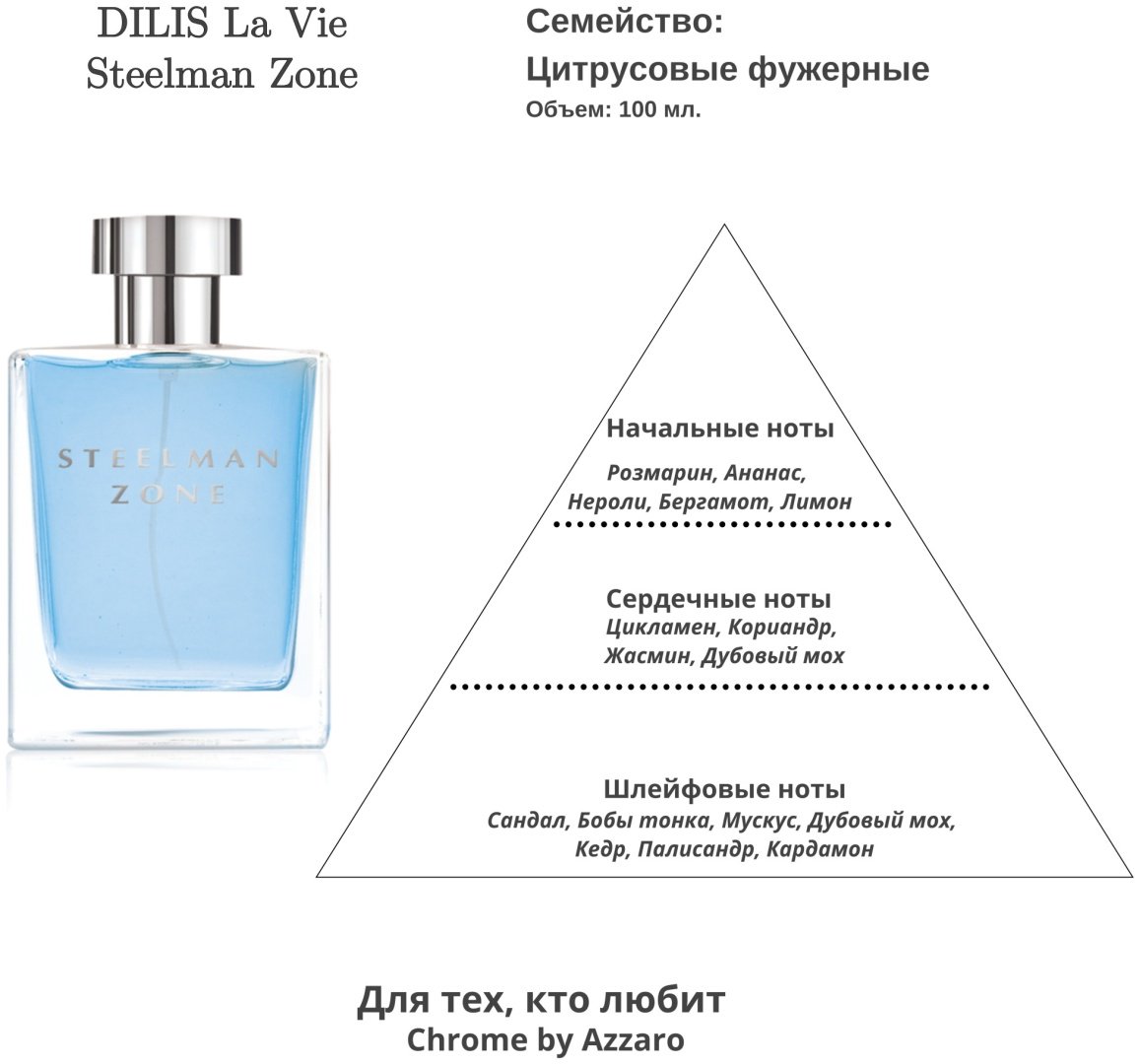 Dilis туалетная вода Steelman Zone EDT 100 мл, для мужчин купить,NaN