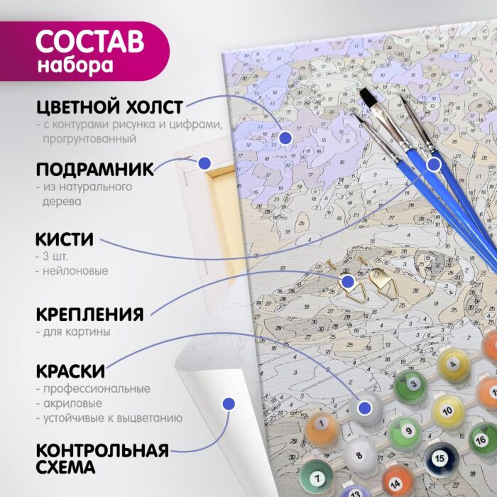 Картина по номерам Molly Цветной холст Дандорф О. Знамение 40х50см 37 цветов купить,NaN