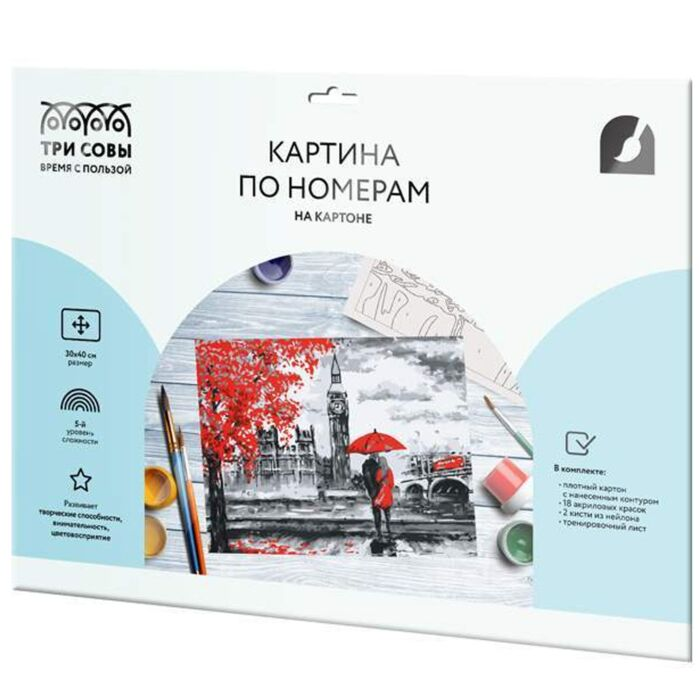 Картина по номерам Три Совы Красный Лондон 30х40см 18 цветов купить,NaN